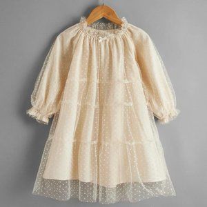 Mesh Fabric Overlay Dress